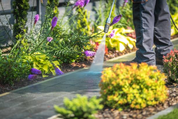 Best Animal Enclosure Cleaning  in Wayne Heights, PA